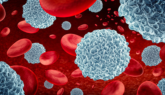 Computergrafische Darstellung weißer Blutkörperchen